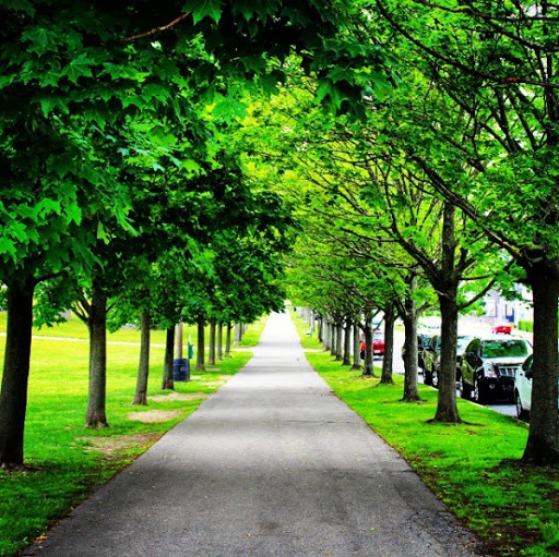 Park «Kennedy Park», reviews and photos, S Main St, Fall River, MA 02724, USA