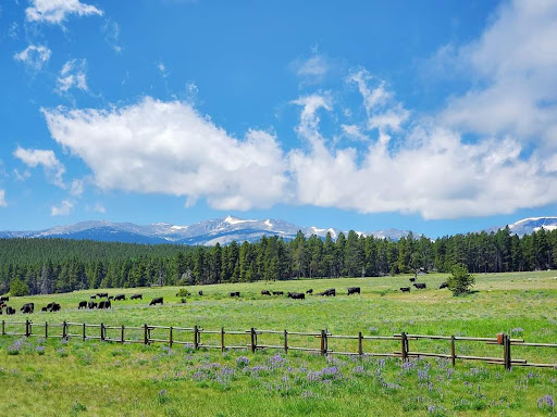 Bighorn Mountains