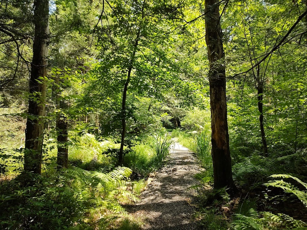 Park near Oak Mar Motel