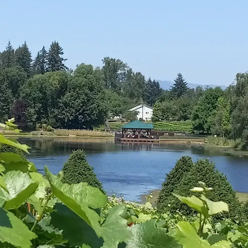 Winery «Bethany Vineyard & Winery», reviews and photos, 4115 NE 259th St, Ridgefield, WA 98642, USA