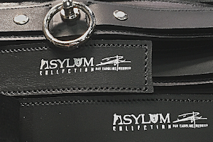 ASYLUM image