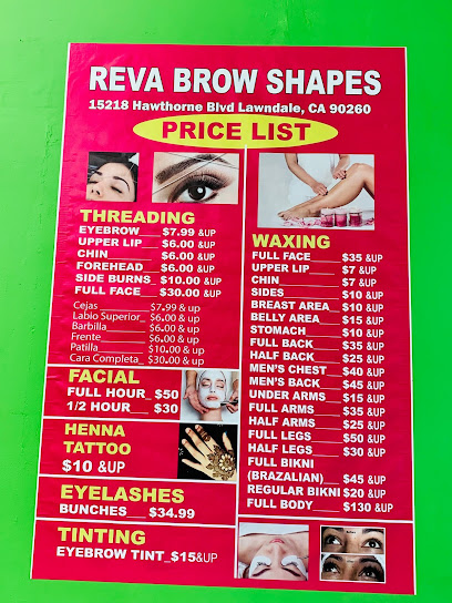 Reva Brow Shapes