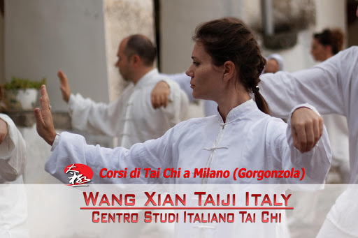 Corsi di Tai Chi Milano Gorgonzola - Wang Xian Taiji Italy