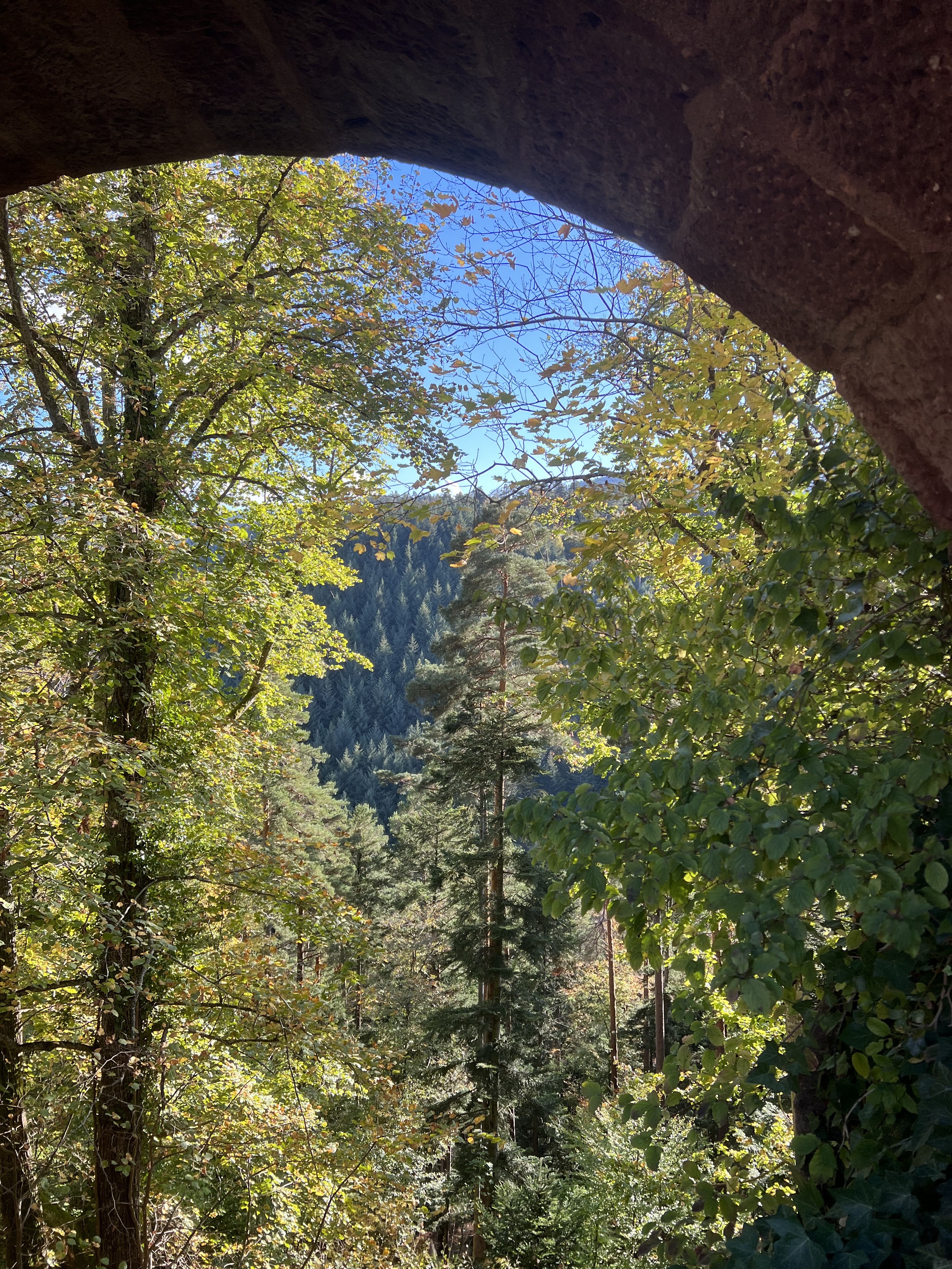 Photo n° 5 de l'avis de Laura.o fait le 22/10/2022 à 16:59
