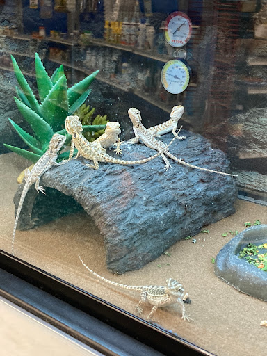 Pet Supply Store «Petco Animal Supplies», reviews and photos, 1808 Tamiami Trail a, Port Charlotte, FL 33948, USA