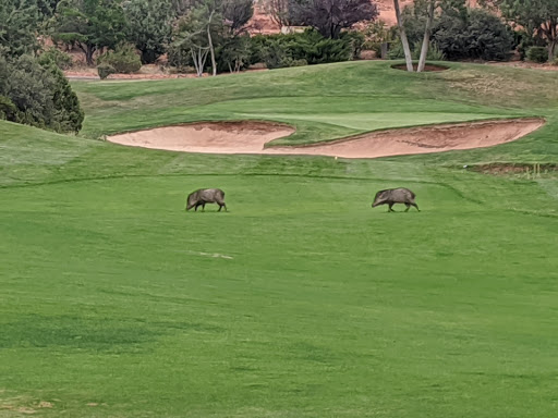 Golf Club «Seven Canyons Golf Club», reviews and photos, 625 Golf Club Way, Sedona, AZ 86336, USA