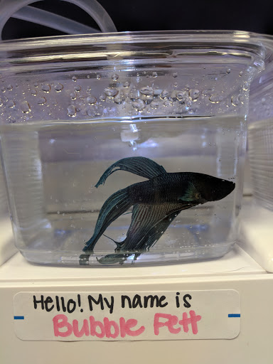 Pet Supply Store «Pet Valu», reviews and photos, 3491 Merchant Boulevard, Abingdon, MD 21009, USA