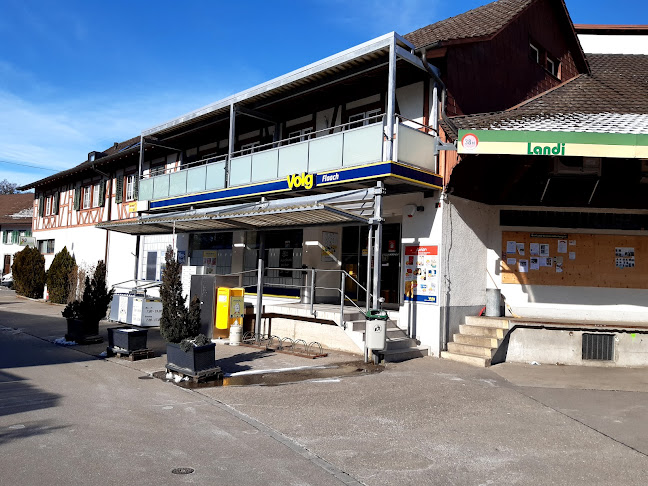 Comentarii opinii despre Volg Flaach