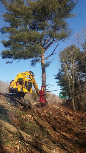 Excavating Contractor «Advanced Construction and Tree Removal & Advanced Landclearing», reviews and photos, 87 Boardman Rd, New Milford, CT 06776, USA