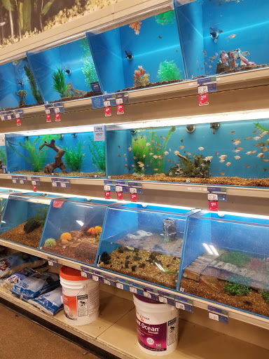 Pet Supply Store «PetSmart», reviews and photos, 842 Dawsonville Hwy, Gainesville, GA 30501, USA