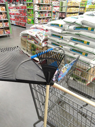 Department Store «Walmart Supercenter», reviews and photos, 555 W Genesee St, Lapeer, MI 48446, USA