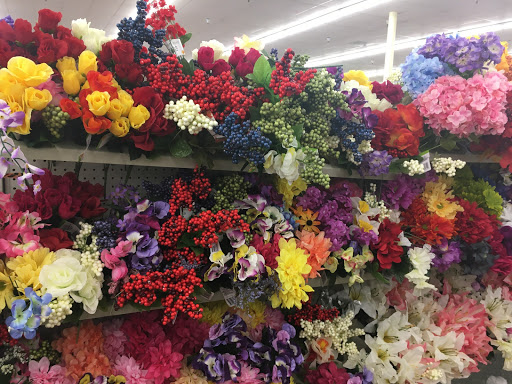 Dollar Store «Dollar Tree», reviews and photos, 1041 Vine St, Healdsburg, CA 95448, USA