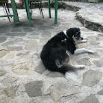 Photo n°5 de l'avis de Valerio.a fait le 17/08/2021 à 14:53 sur le  ValdericArte creative residence à Lamoli