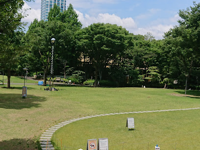 新宿中央公園芝生広場（東）