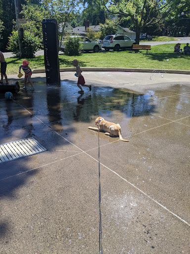 Park «Hammerle Park», reviews and photos, 1505 Lewis St, West Linn, OR 97068, USA