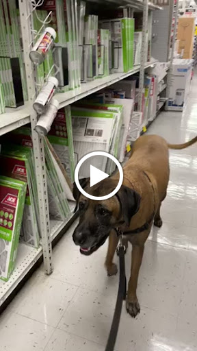 Hardware Store «Pittsburg Ace Hardware», reviews and photos, 125 E Leland Rd, Pittsburg, CA 94565, USA