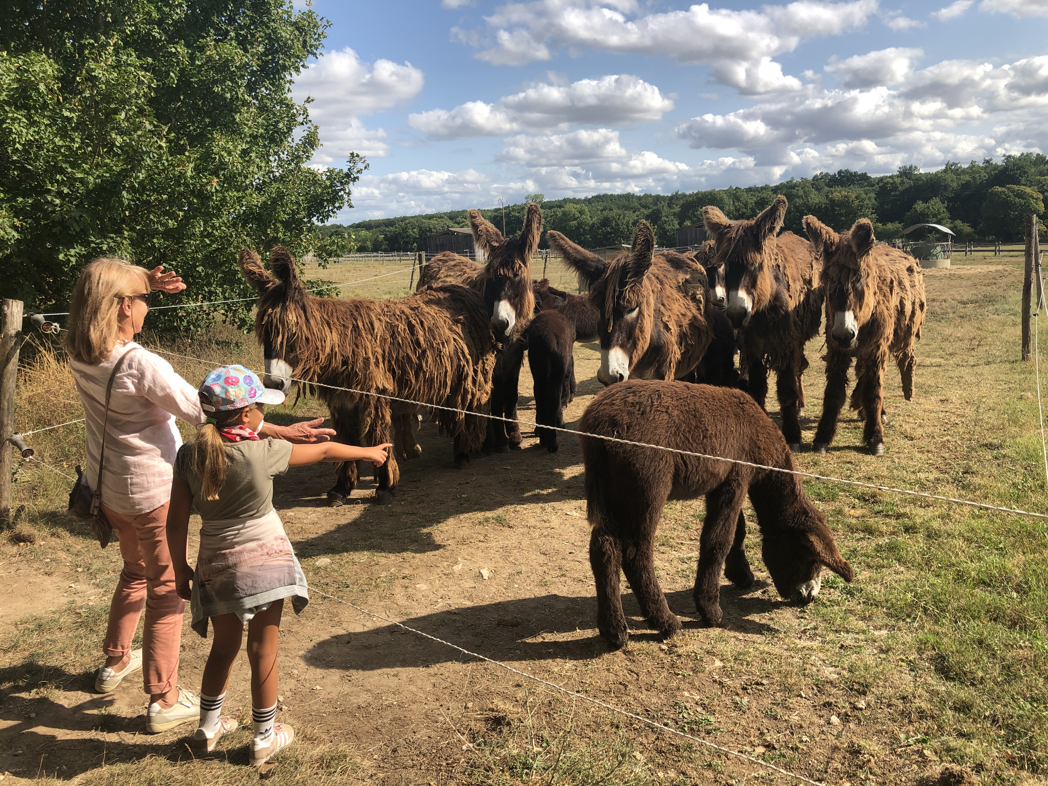 Photo n° 3 de l'avis de Jean-Pierre.E fait le 01/09/2021 à 10:07