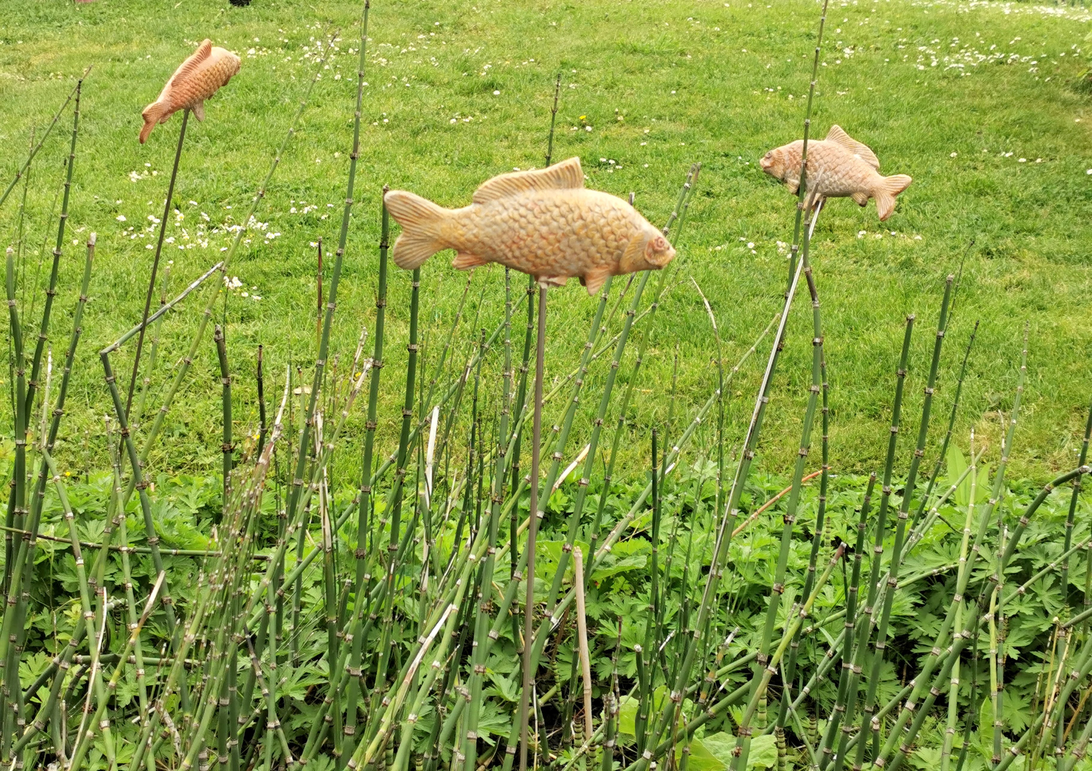 Photo n° 1 de l'avis de Solange.o fait le 07/05/2023 à 07:24