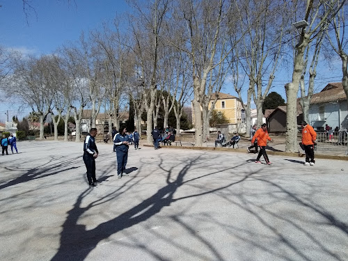 Allées Roques à Marseillan