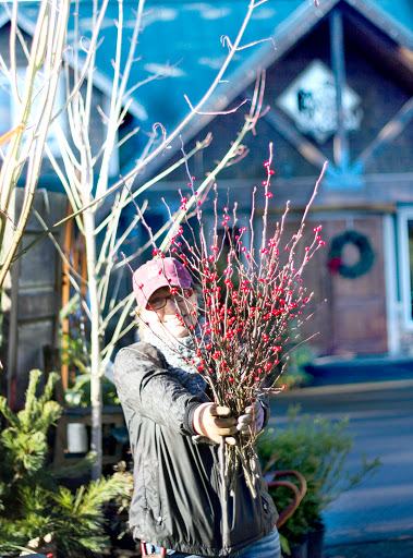 Plant Nursery «Pine Creek Nursery», reviews and photos, 23225 Sofie Rd, Monroe, WA 98272, USA