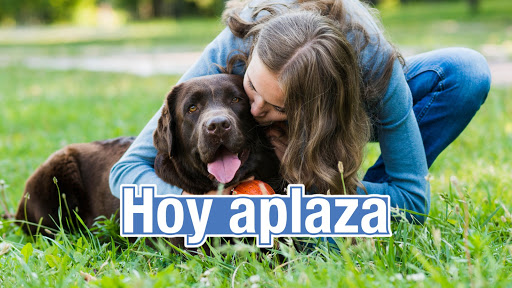 Consulta Veterinaria Dr. Gerardo Ibáñez Sánchez en Albacete