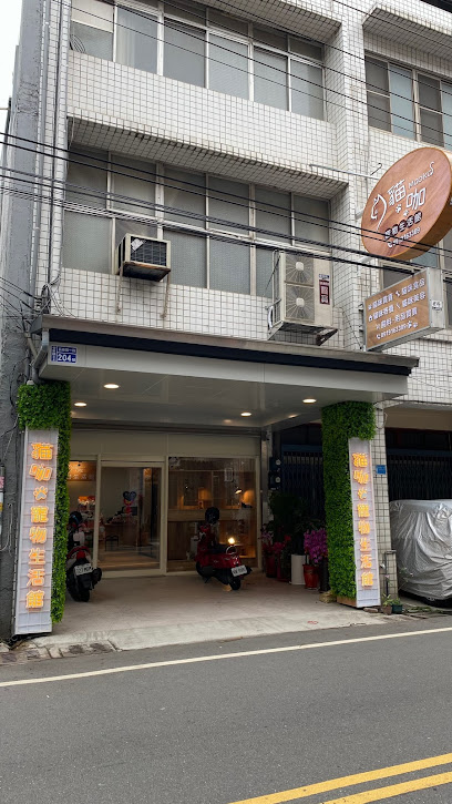 猫咖宠物生活馆竹东店