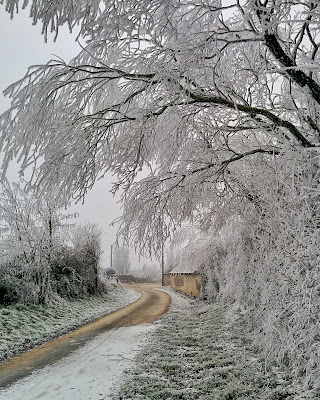 LEJEUNE à Pontgouin