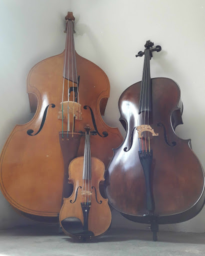 Logo da empresa - D'Carvalho Luthier