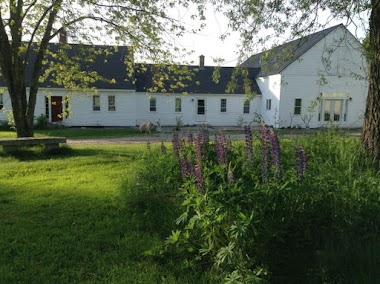Unicorn Cove School Of Metaphysics