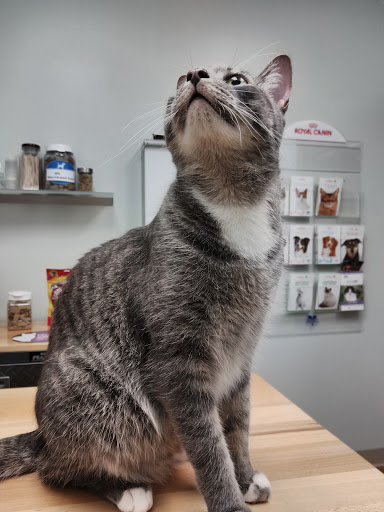 Wellington Baseline Animal Hospital