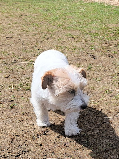 Park «Carl Schurz Park», reviews and photos, East 86th Street & East End Ave, New York, NY 10028, USA