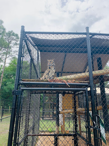 Tourist Attraction «Panther Ridge Conservation Center», reviews and photos, 14755 Palm Beach Point Blvd, Wellington, FL 33414, USA