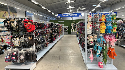 Intermascotas - Telde