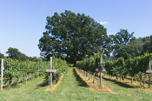 Winery «Wisdom Oak Winery», reviews and photos, 3613 Walnut Branch Ln, North Garden, VA 22959, USA