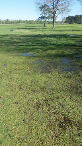 Golf Course «Bayou Golf Course», reviews and photos, 2800 Ted Dudley Dr, Texas City, TX 77591, USA