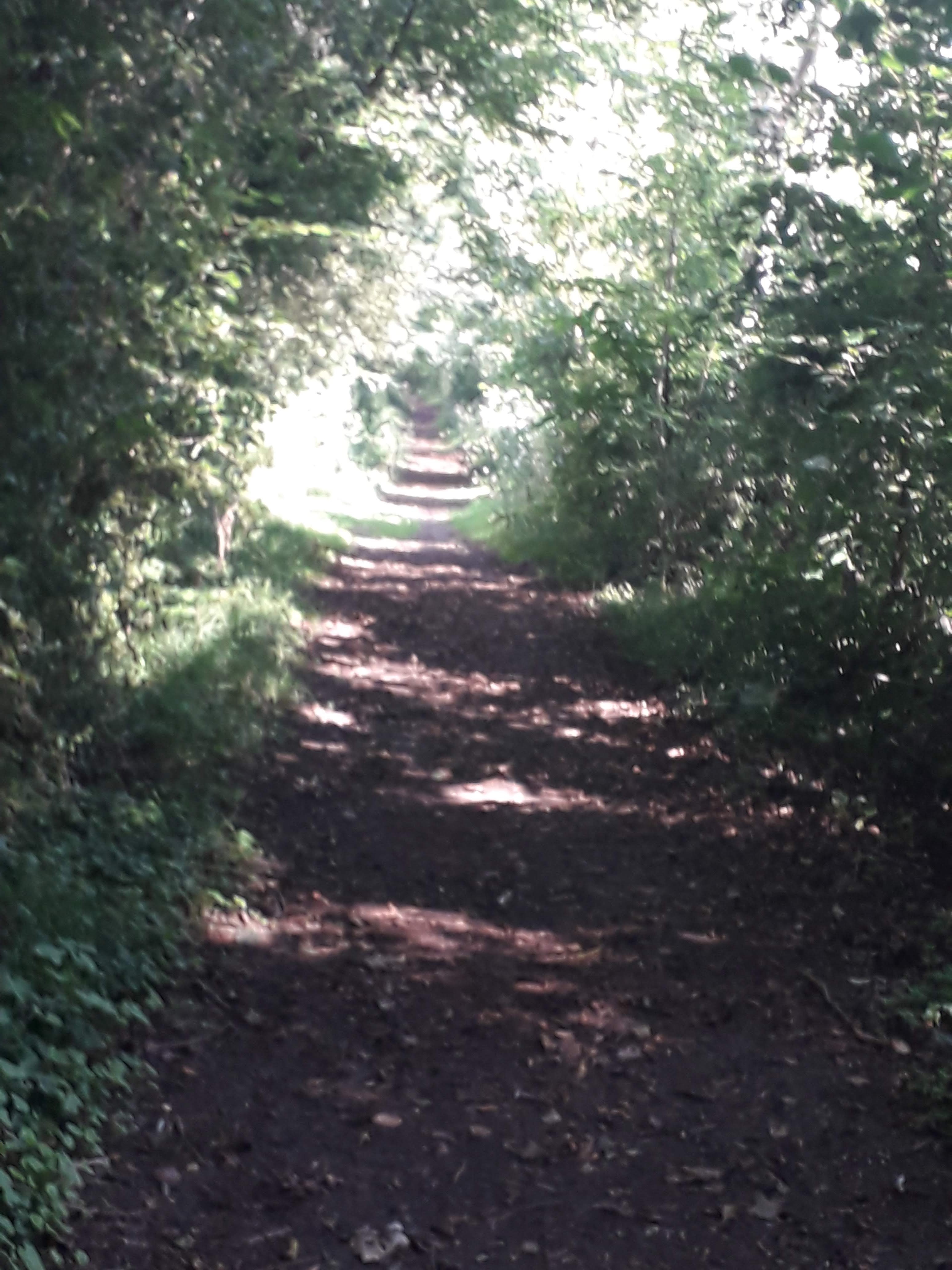 Photo n° 7 de l'avis de odile.E fait le 20/08/2023 à 11:33