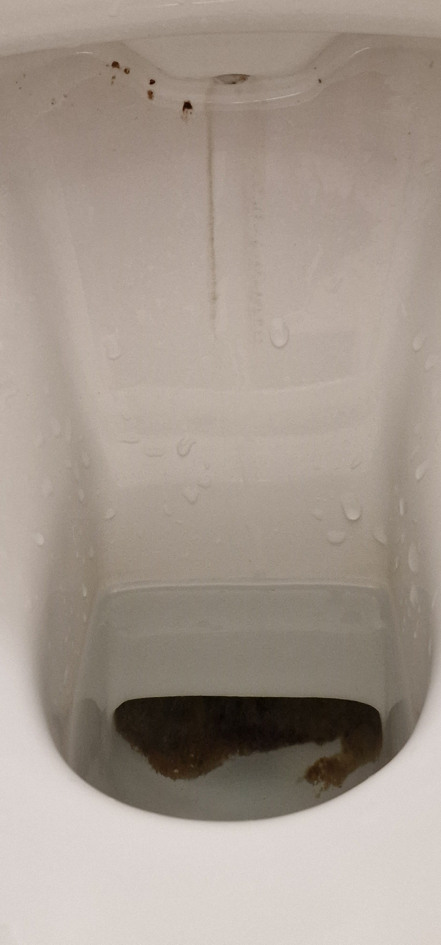 Photo n° 43 de l'avis de Dominique.A fait le 30/07/2023 à 17:07