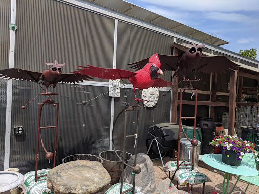 Garden Center «Sixteen Acres Garden Center», reviews and photos, 1359 Wilbraham Rd, Springfield, MA 01119, USA