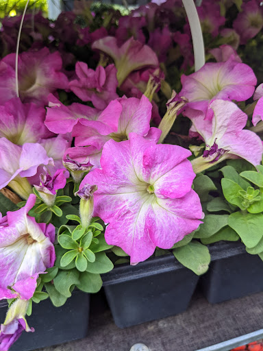 Home Improvement Store «The Home Depot», reviews and photos, 1750 Jonesboro Rd, McDonough, GA 30253, USA