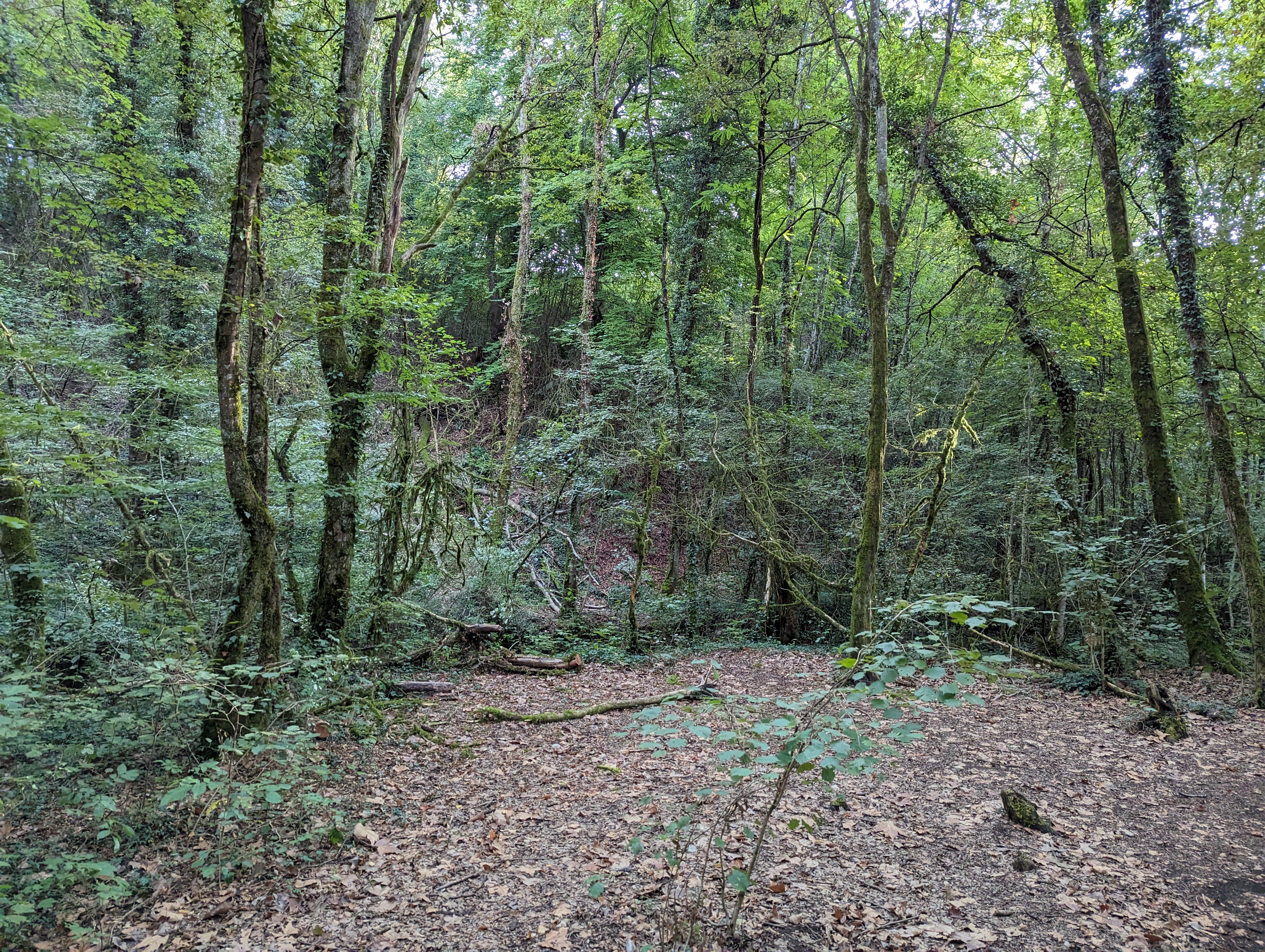 Photo n° 7 de l'avis de Irène.. fait le 15/09/2023 à 10:01