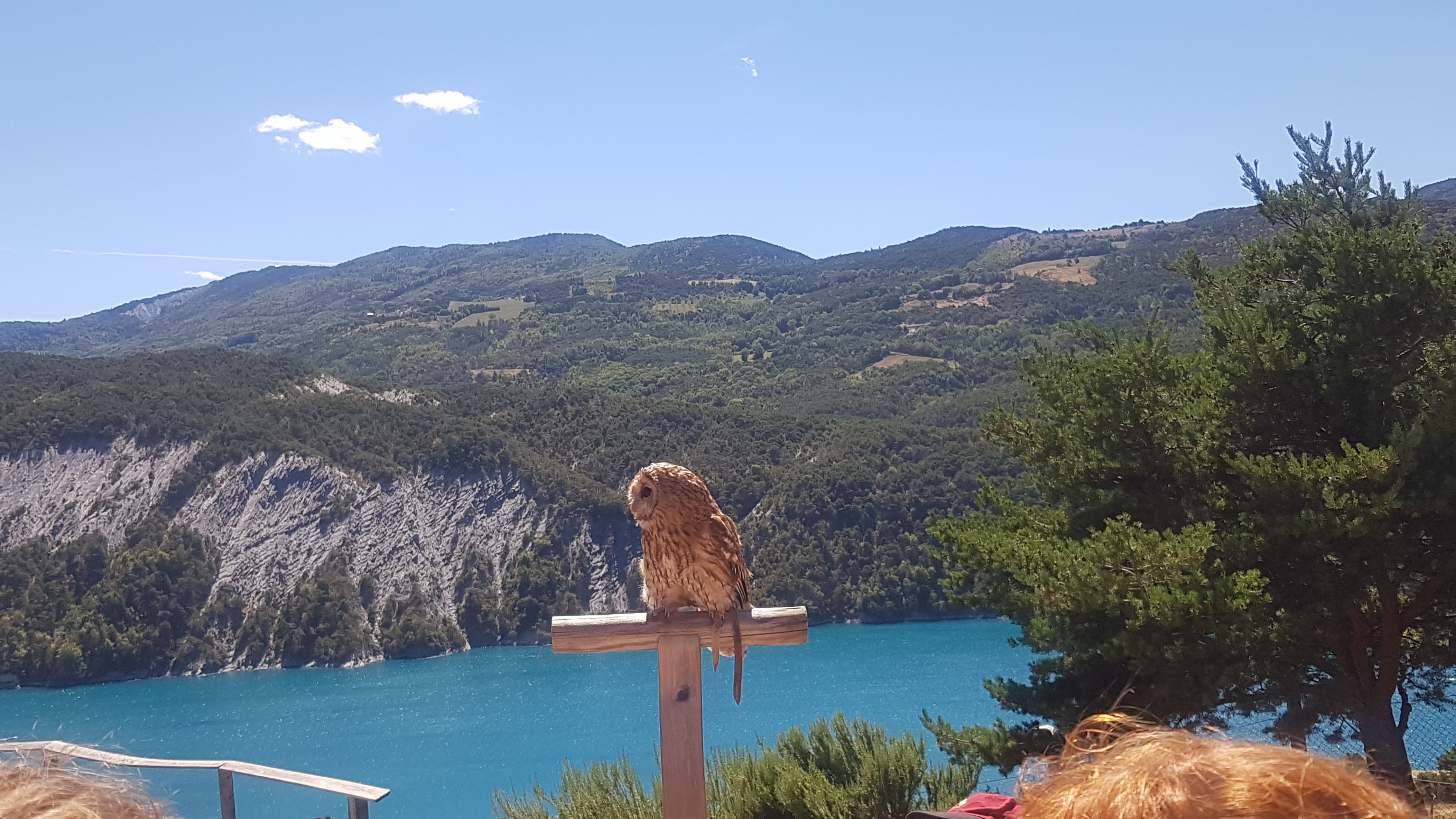 Photo n° 1 de l'avis de olivia.u fait le 26/08/2020 à 14:01