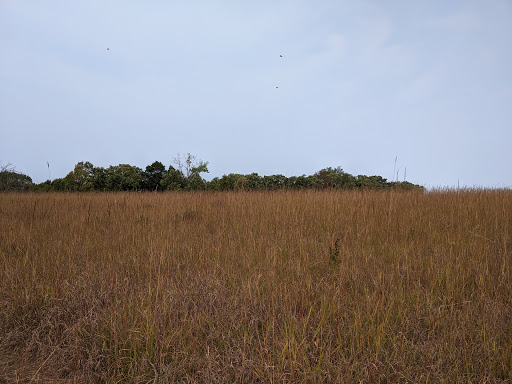 Nature Preserve «St. Croix Savanna Scientific and Natural Area (SNA)», reviews and photos, Osprey Blvd, Bayport, MN 55003, USA