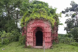 Shri Bhubaneshwari Mandir image