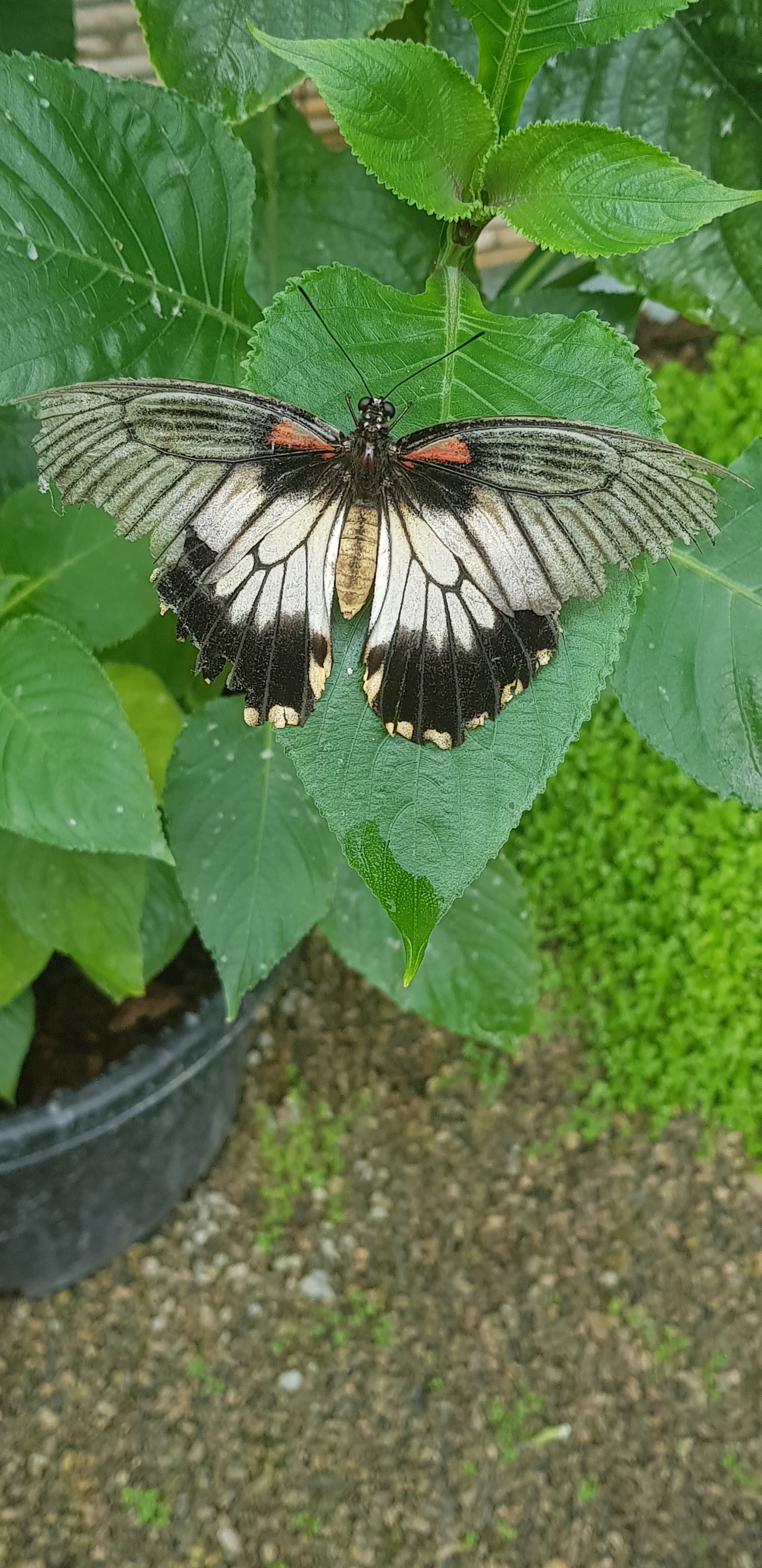 Photo n° 8 de l'avis de Ko.a fait le 14/05/2018 à 16:25