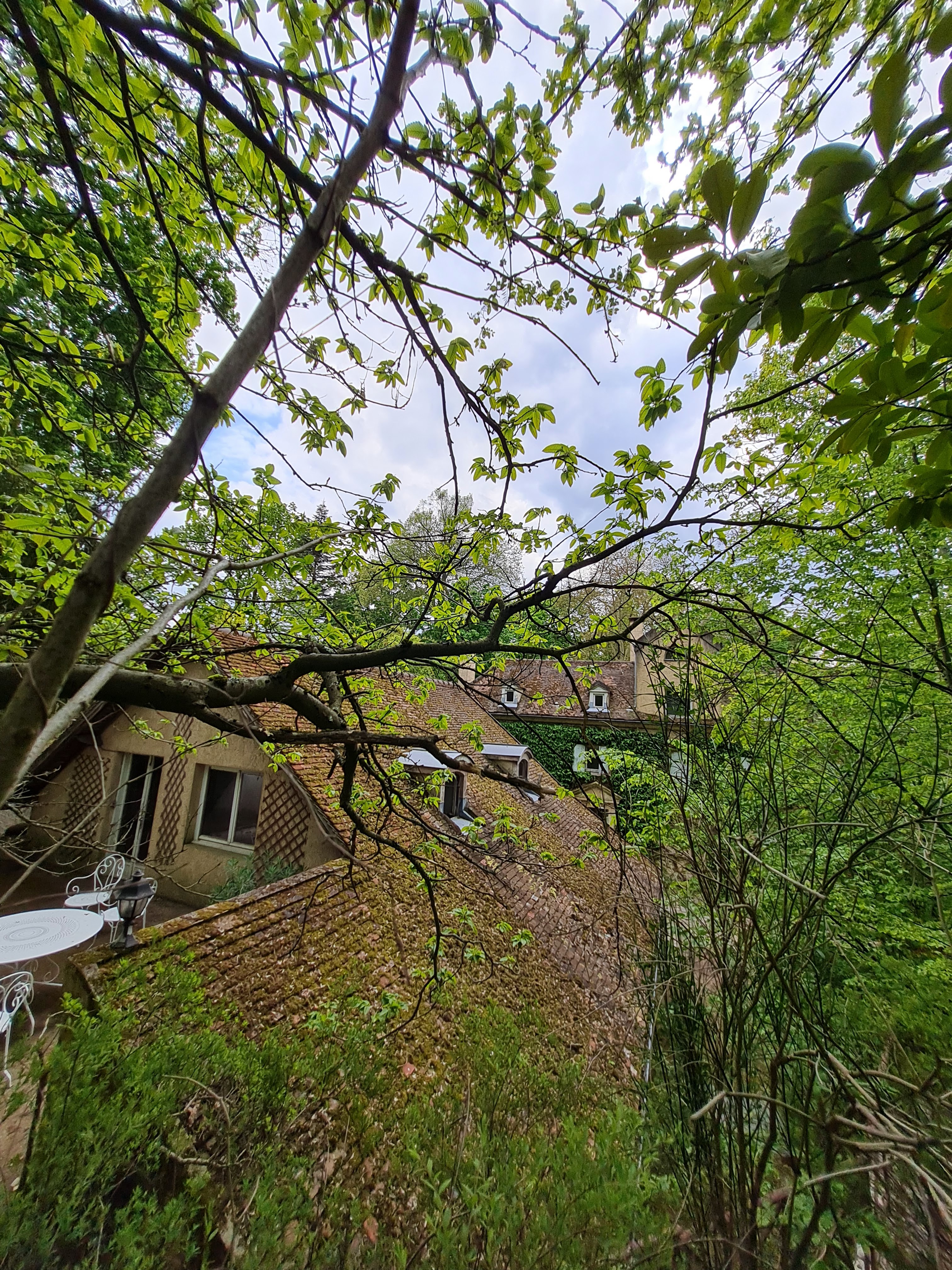 Photo n° 28 de l'avis de Murielle.a fait le 29/04/2021 à 18:58
