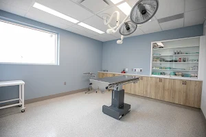 Amherst Veterinary Hospital image