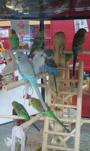 Pet Supply Store «Petco Animal Supplies», reviews and photos, 308 E Meighan Blvd, Gadsden, AL 35903, USA