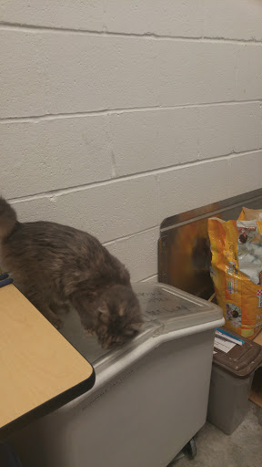 Pet Supply Store «PetSmart», reviews and photos, 13927 New Halls Ferry Road, Florissant, MO 63033, USA