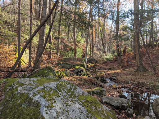 Park «Sterling Forest State Park», reviews and photos, Old Forge Rd, Tuxedo Park, NY 10987, USA