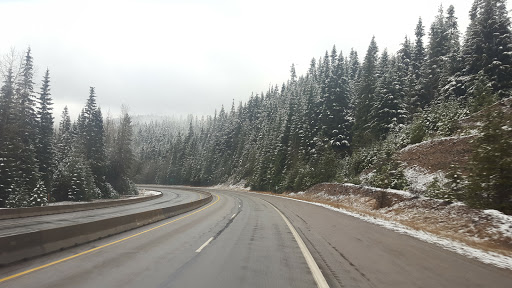 Coffee Shop «Blue Bottle Coffee», reviews and photos, 1712 Sunset Blvd, Los Angeles, CA 90026, USA